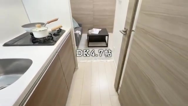 1DKの賃貸マンション内見のキッチン（室内・外観の様子）