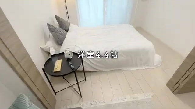 1DKの賃貸マンション内見の洋室（室内・外観の様子）