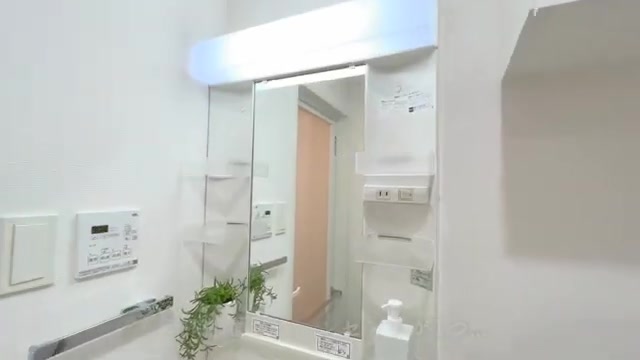 1K賃貸マンション内見の洗面室（室内・外観の様子）