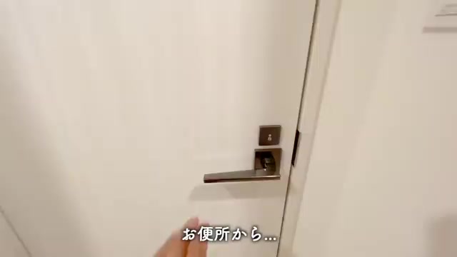 1K賃貸マンション内見のトイレ（室内・外観の様子）