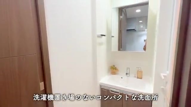 1K賃貸マンション内見の洗面所（室内・外観の様子）