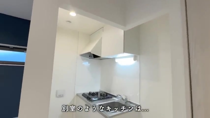 1LDKの賃貸アパート/一人暮らし&二人暮らしのキッチン（室内・外観の様子）