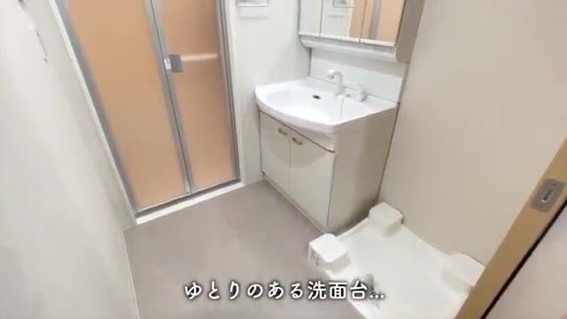 一人暮らし&二人暮らしの1LDKを内見の洗面所(室内・外観の様子)