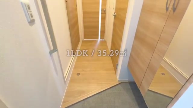 1LDKの賃貸アパートの玄関(室内・外観の様子)