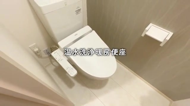 1LDKの賃貸アパートのトイレ(室内・外観の様子)