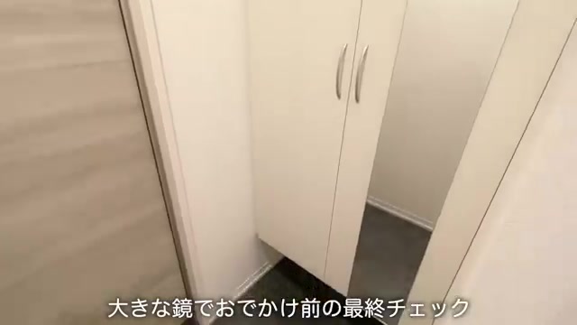 ×1LDK×賃貸アパートの玄関（室内・外観の様子）