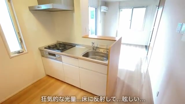賃貸アパート×1LDK×コンパクトのキッチン（室内・外観の様子）