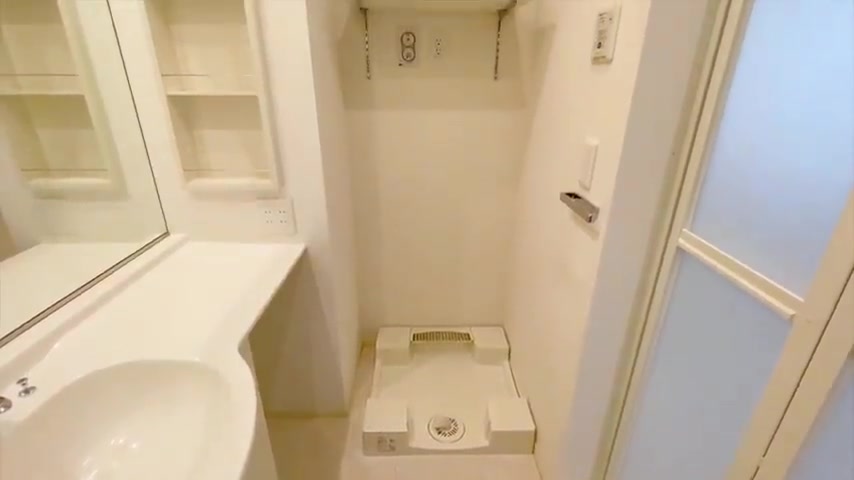 1LDK×賃貸アパートのシンプルで清潔感のある洗面スペース（室内・外観の様子）