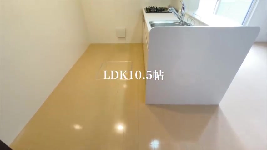 1LDK×賃貸アパートの調理効率の良い設計のキッチン（室内・外観の様子）