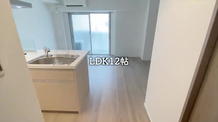 1LDKの賃貸マンション内見のキッチン(室内・外観の様子)