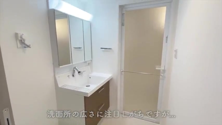 1LDKの賃貸マンション内見の洗面所(室内・外観の様子)