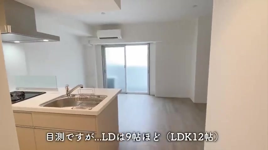 1LDKの賃貸マンション内見のリビングダイニング(室内・外観の様子)