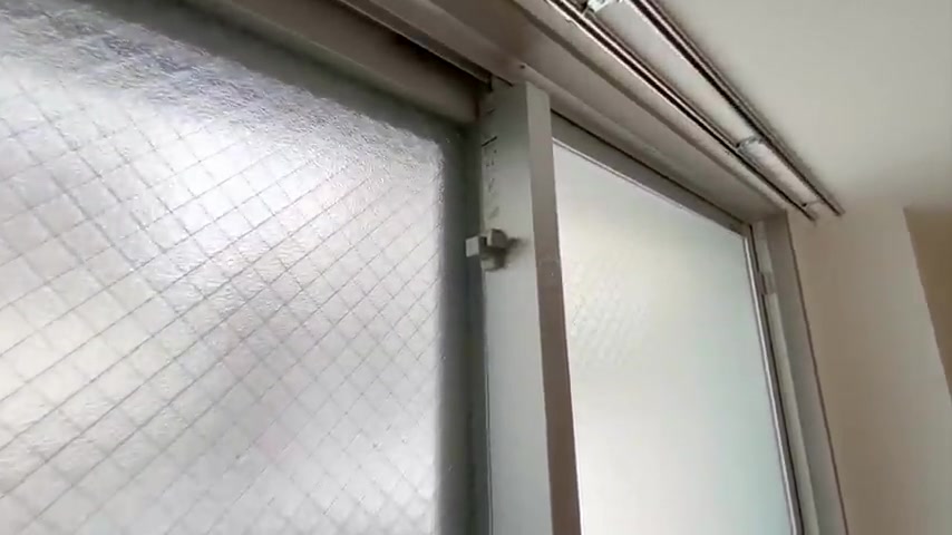 1LDKの賃貸マンション内見のバルコニー(室内・外観の様子)