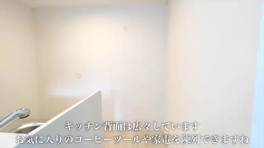 1LDK / 賃貸アパート内見のキッチン（室内・外観の様子）