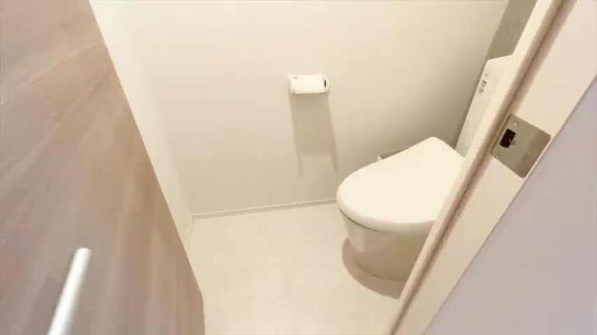 1LDK / 賃貸アパート内見のトイレ（室内・外観の様子）