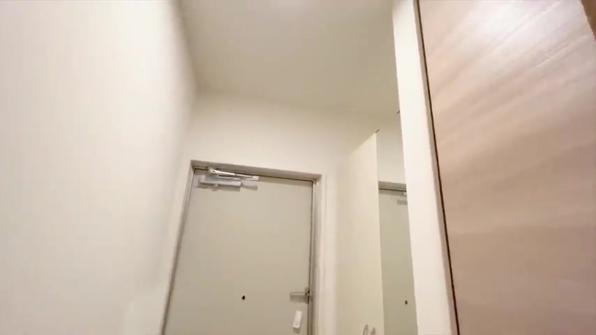 1LDK / 賃貸アパート内見の玄関（室内・外観の様子）