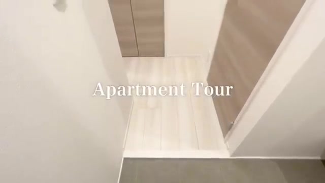 1LDK賃貸アパートの内見の玄関（室内・外観の様子）