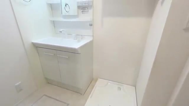 1LDK賃貸アパートの内見の洗面所（室内・外観の様子）