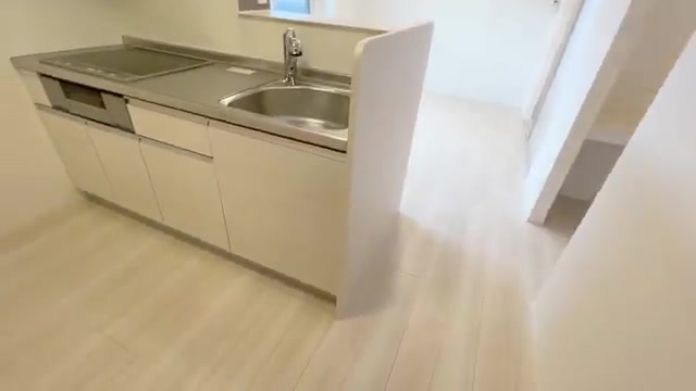 1LDK賃貸アパートの内見のキッチン（室内・外観の様子）