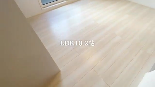1LDK賃貸アパートの内見のリビングダイニング（室内・外観の様子）