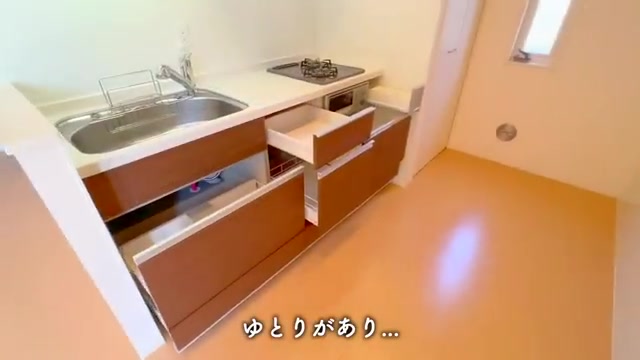 1LDKのお部屋内見のキッチン(室内・外観の様子)
