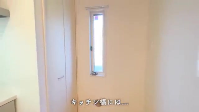 1LDKのお部屋内見の収納③(室内・外観の様子)