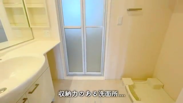 1LDKのお部屋内見の洗面所(室内・外観の様子)