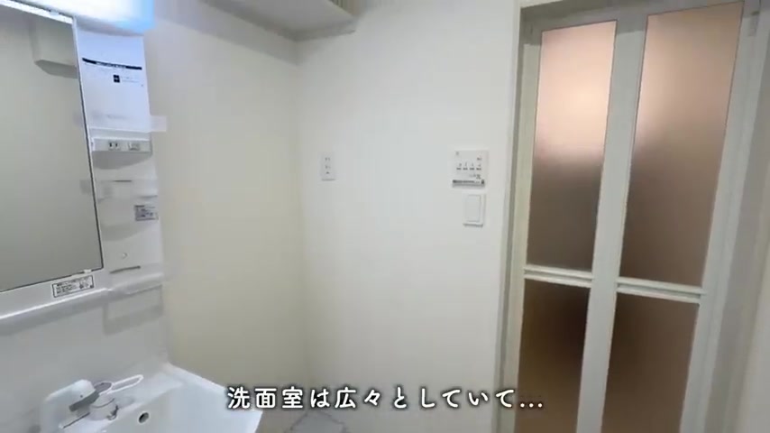 1LDKの賃貸アパート/一人暮らし&二人暮らしの洗面室（室内・外観の様子）