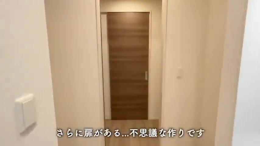 1LDKの間取りを内見の納戸→クローゼット（室内・外観の様子）