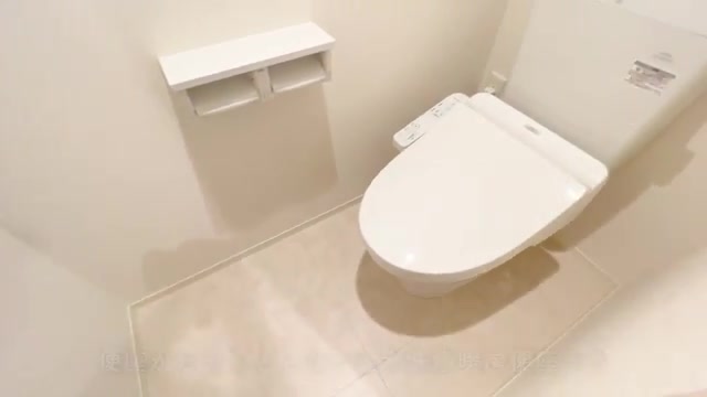 1LDK賃貸アパート内見のトイレ（室内・外観の様子）