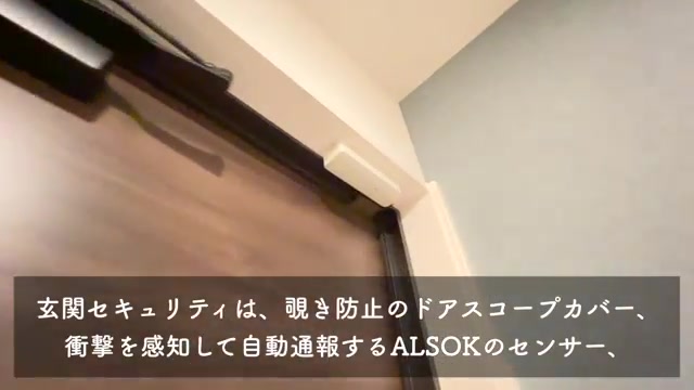 1LDK賃貸アパート内見の玄関セキュリティ（室内・外観の様子）