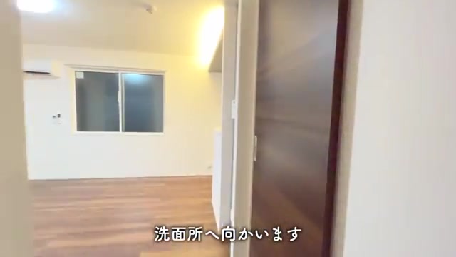 1LDK賃貸アパート内見の洗面所（室内・外観の様子）