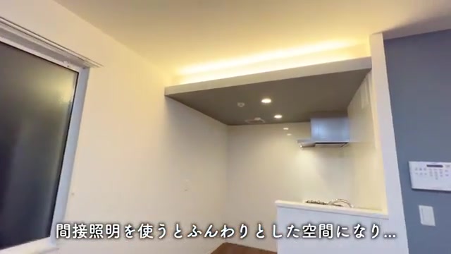 1LDK賃貸アパート内見のキッチン（室内・外観の様子）