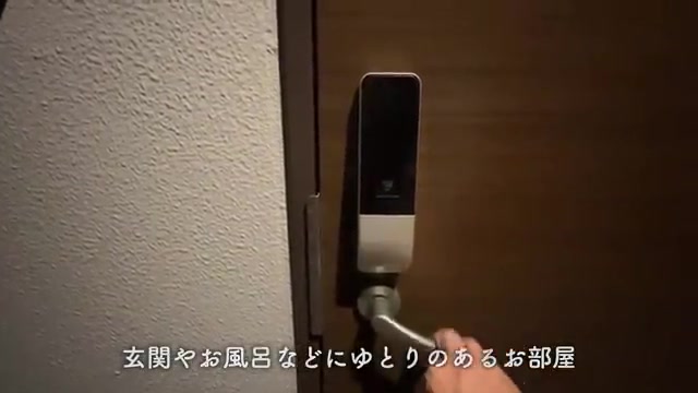 一人暮らし&二人暮らしの1LDKを内見の玄関(室内・外観の様子)