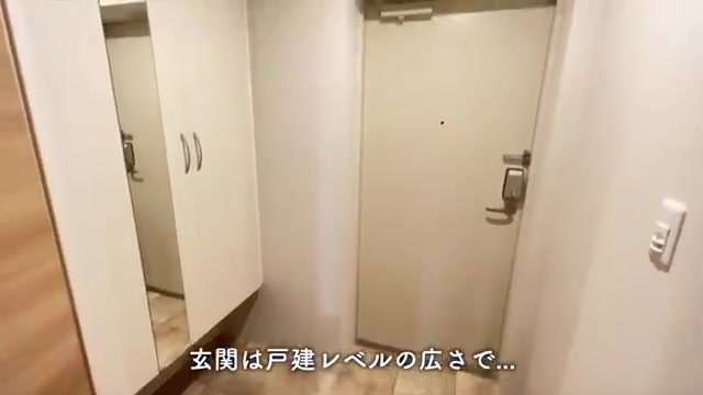 一人暮らし&二人暮らしの1LDKを内見の玄関(室内・外観の様子)