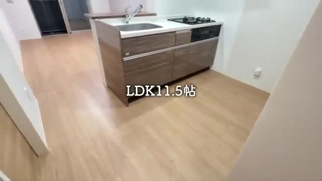 一人暮らし&二人暮らしの1LDKを内見のキッチン(室内・外観の様子)