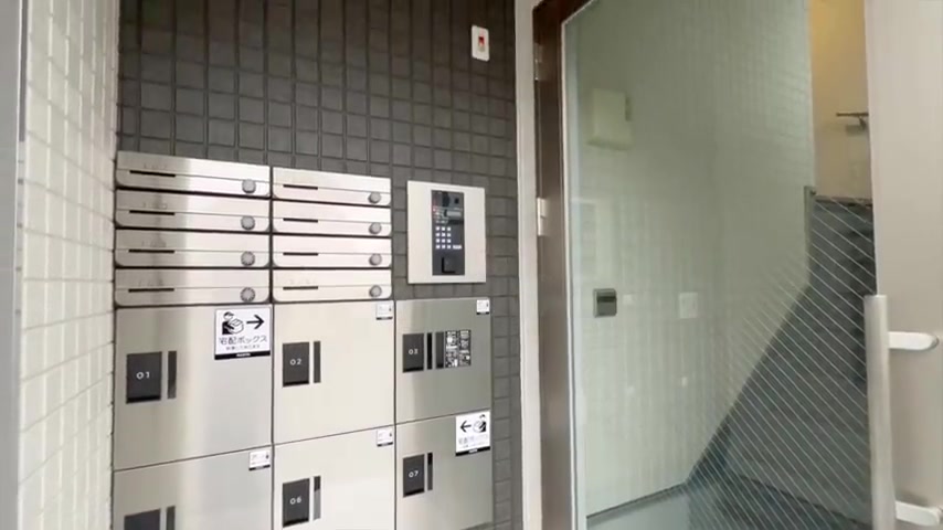 1LDKで一人暮らしのエントランス・宅配ボックス(室内・外観の様子)
