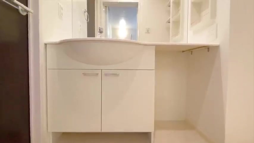 1LDK×賃貸アパートの二つ目の洗面所で朝の準備がスムーズ（室内・外観の様子）