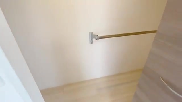 ×1LDK×賃貸アパートのワイドなWIC（室内・外観の様子）