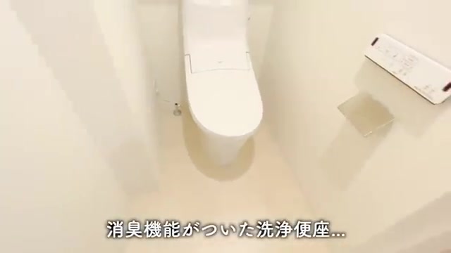 1LDK賃貸マンション内見/1人暮らしのトイレ（室内・外観の様子）