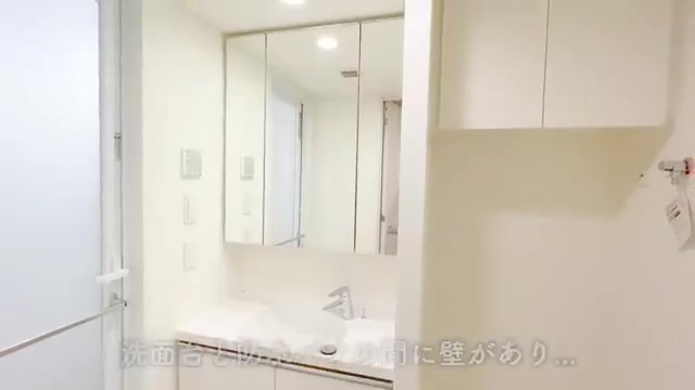 1LDK賃貸マンション内見/1人暮らしの洗面所（室内・外観の様子）