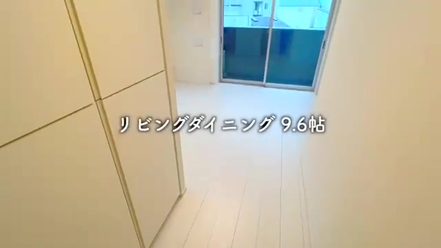 1LDK賃貸マンション内見/1人暮らしの収納（室内・外観の様子）