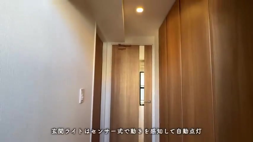 福岡賃貸/1LDK/RJRプレシア竹下Ⅰの玄関（室内・外観の様子）