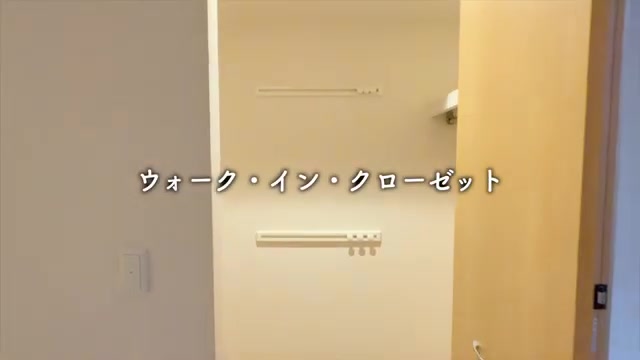 1R賃貸アパート内見のウォークインクローゼット（室内・外観の様子）