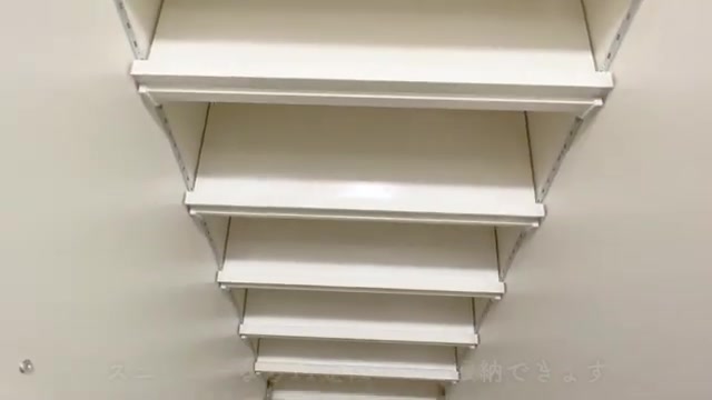 東京の賃貸マンション内見の1R（別タイプ・靴箱）（室内・外観の様子）