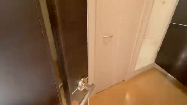 1Rの玄関(室内・外観の様子)