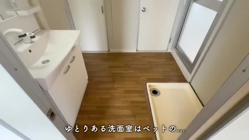 緑苑東24号棟の洗面室（室内・外観の様子）