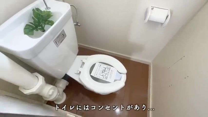 緑苑東24号棟のトイレ（室内・外観の様子）
