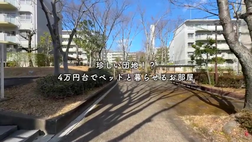 緑苑東24号棟の敷地内（室内・外観の様子）