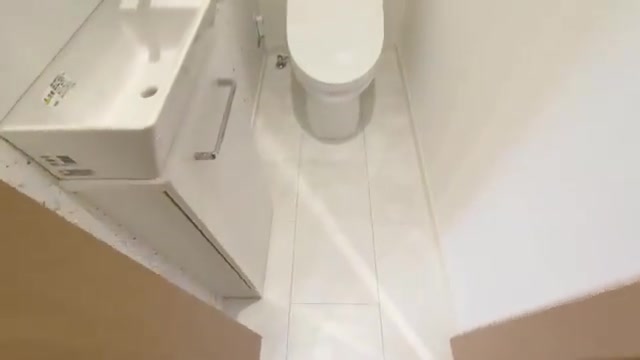 28坪の家のトイレ（室内・外観の様子）